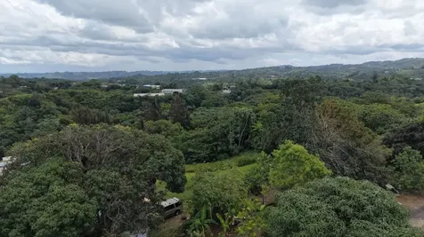 Camino Vitoriano Lares PR 00669