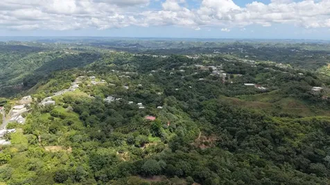 Camino Vitoriano Lares PR 00669