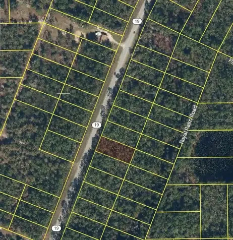 1677 S State Road 19 Palatka FL 32177