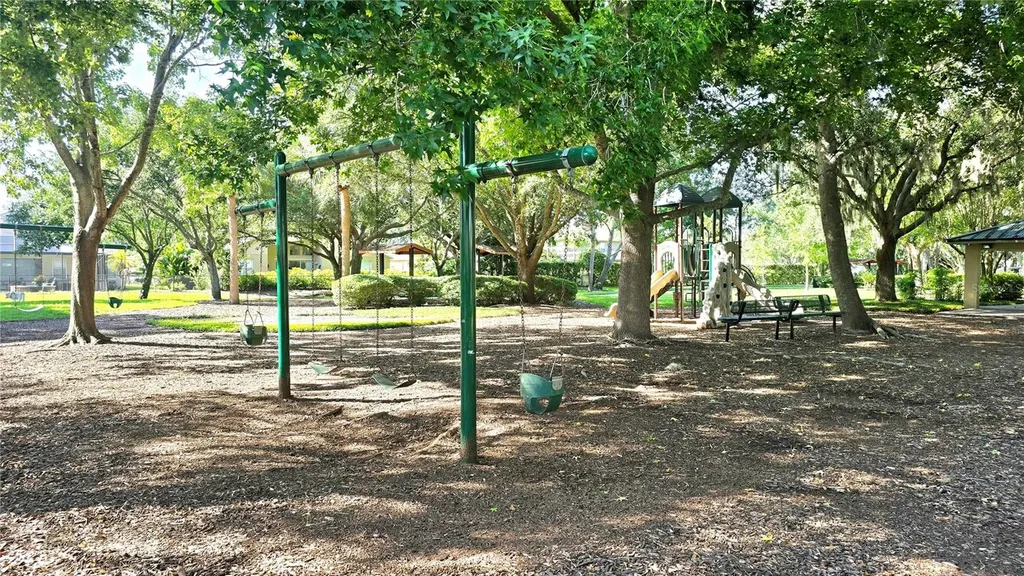 2009 Meadow Rue Court Trinity FL 34655