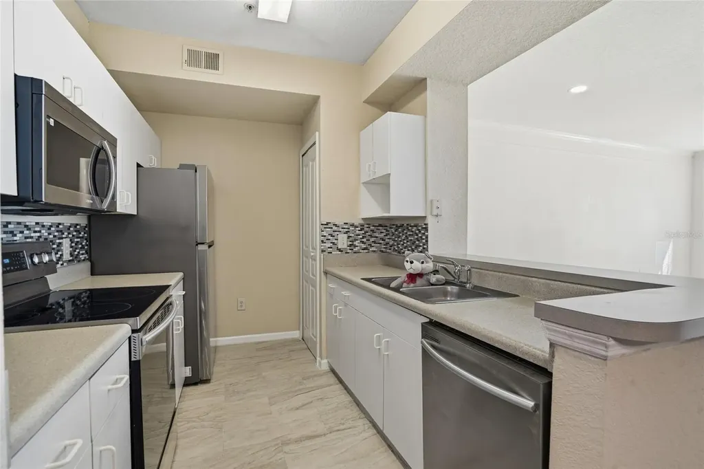 17101 Carrington Park Drive Tampa FL 33647