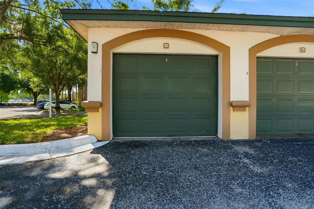 17101 Carrington Park Drive Tampa FL 33647