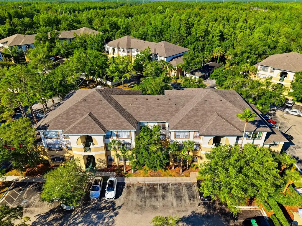 17101 Carrington Park Drive Tampa FL 33647