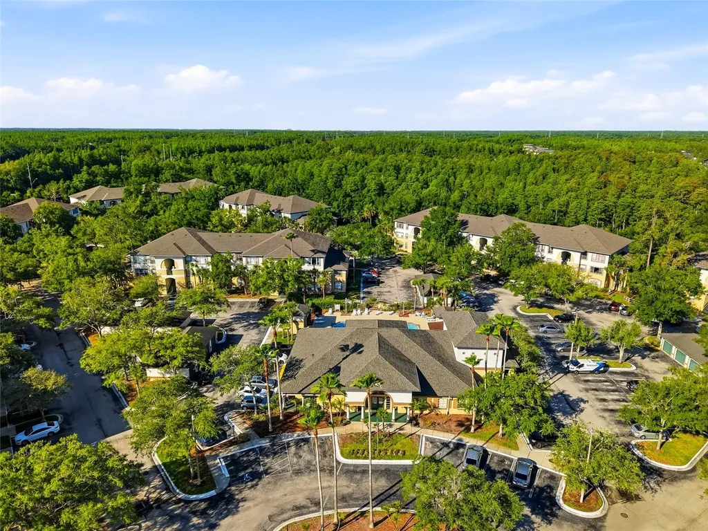 17101 Carrington Park Drive Tampa FL 33647