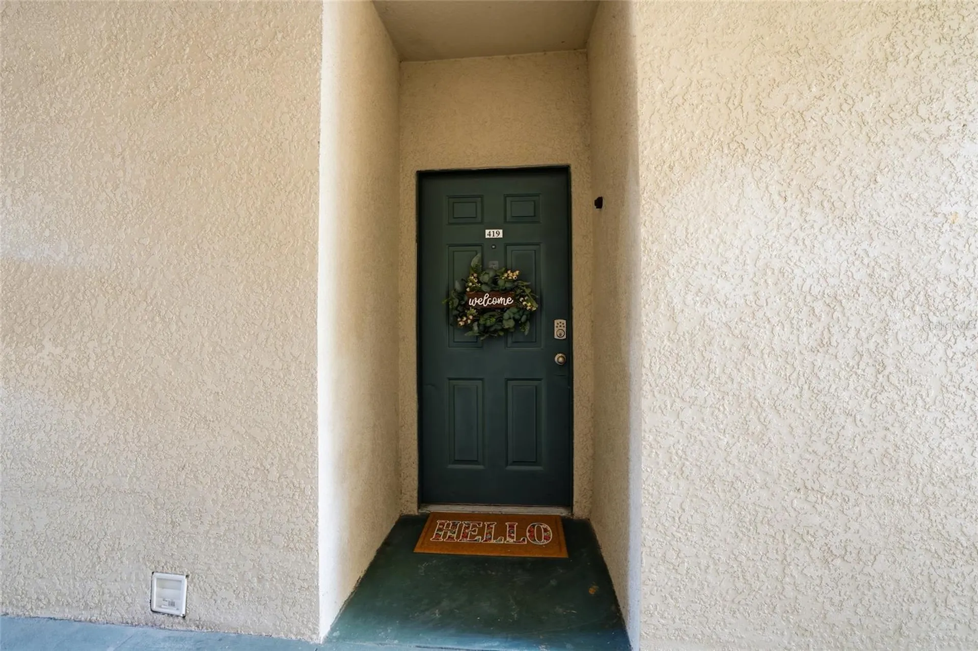 17101 Carrington Park Drive Tampa FL 33647