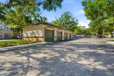 17101 Carrington Park Drive Tampa FL 33647