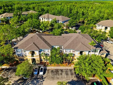 17101 Carrington Park Drive Tampa FL 33647