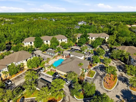 17101 Carrington Park Drive Tampa FL 33647