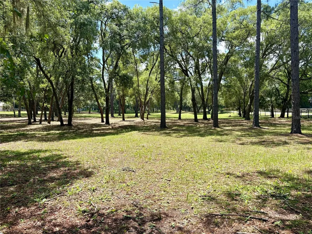 390 Foothill Farms Road Orange City FL 32763