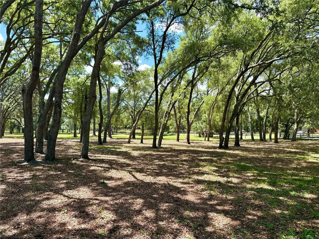 390 Foothill Farms Road Orange City FL 32763