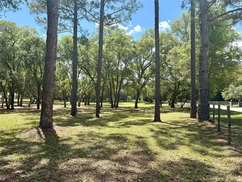 390 Foothill Farms Road Orange City FL 32763