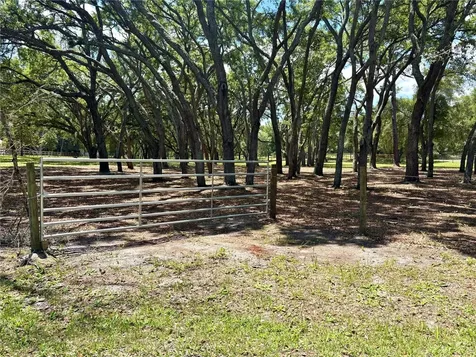 390 Foothill Farms Road Orange City FL 32763