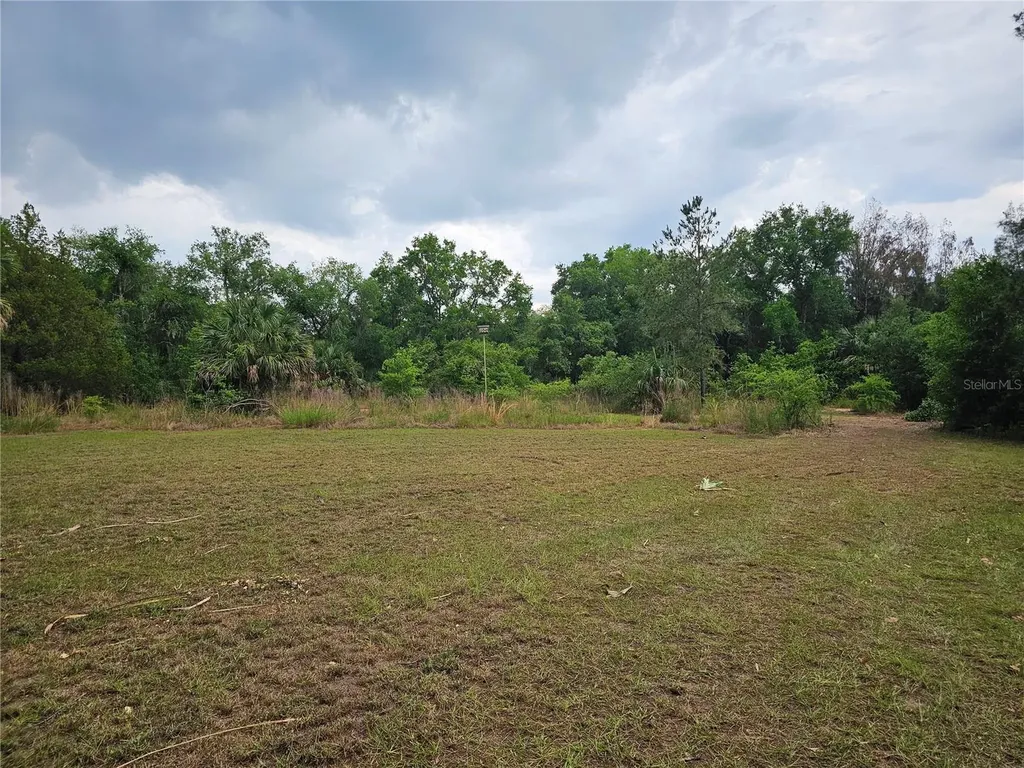 10679 Goose Prairie Road Leesburg FL 34788