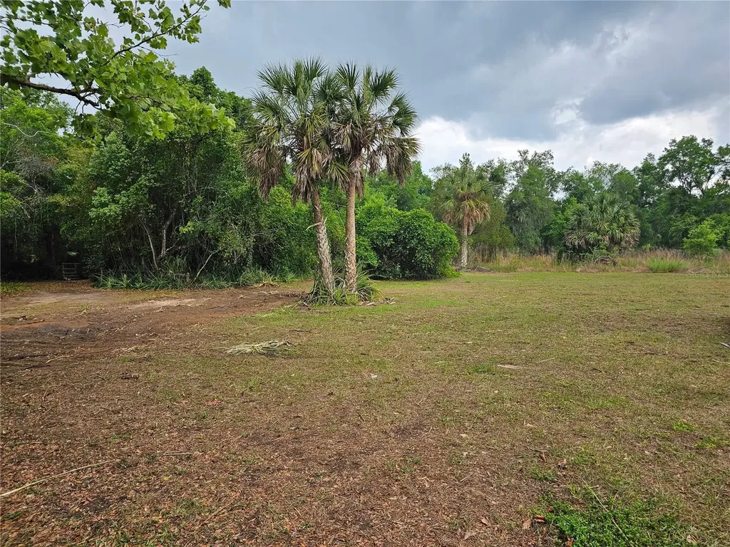 10679 Goose Prairie Road Leesburg FL 34788