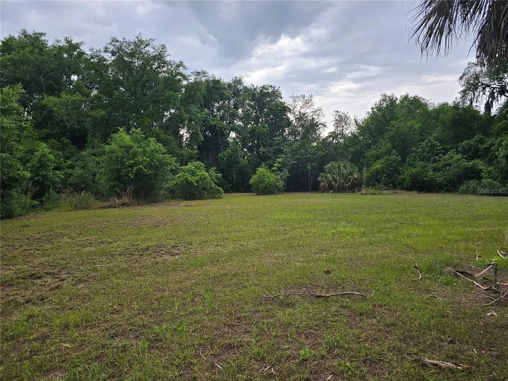 10679 Goose Prairie Road Leesburg FL 34788