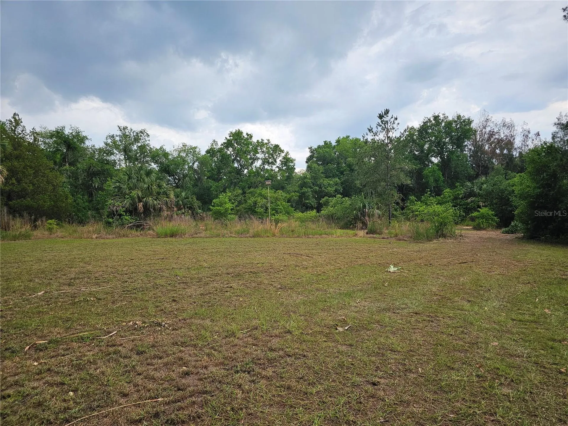 10679 Goose Prairie Road Leesburg FL 34788