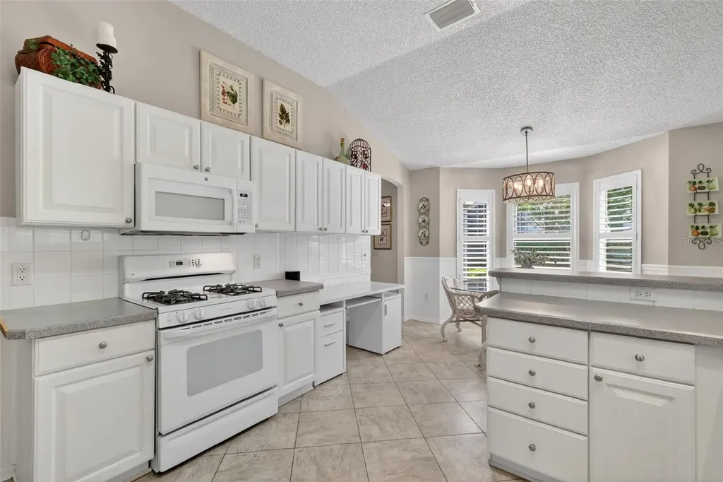1428 Carrillo Street The Villages FL 32162