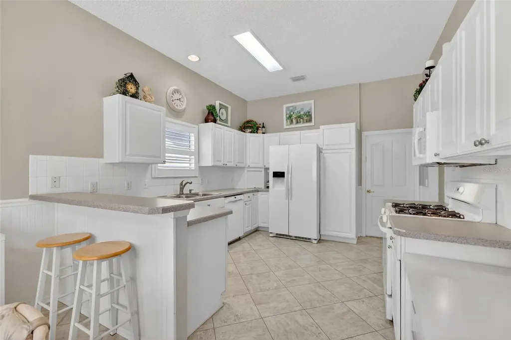 1428 Carrillo Street The Villages FL 32162