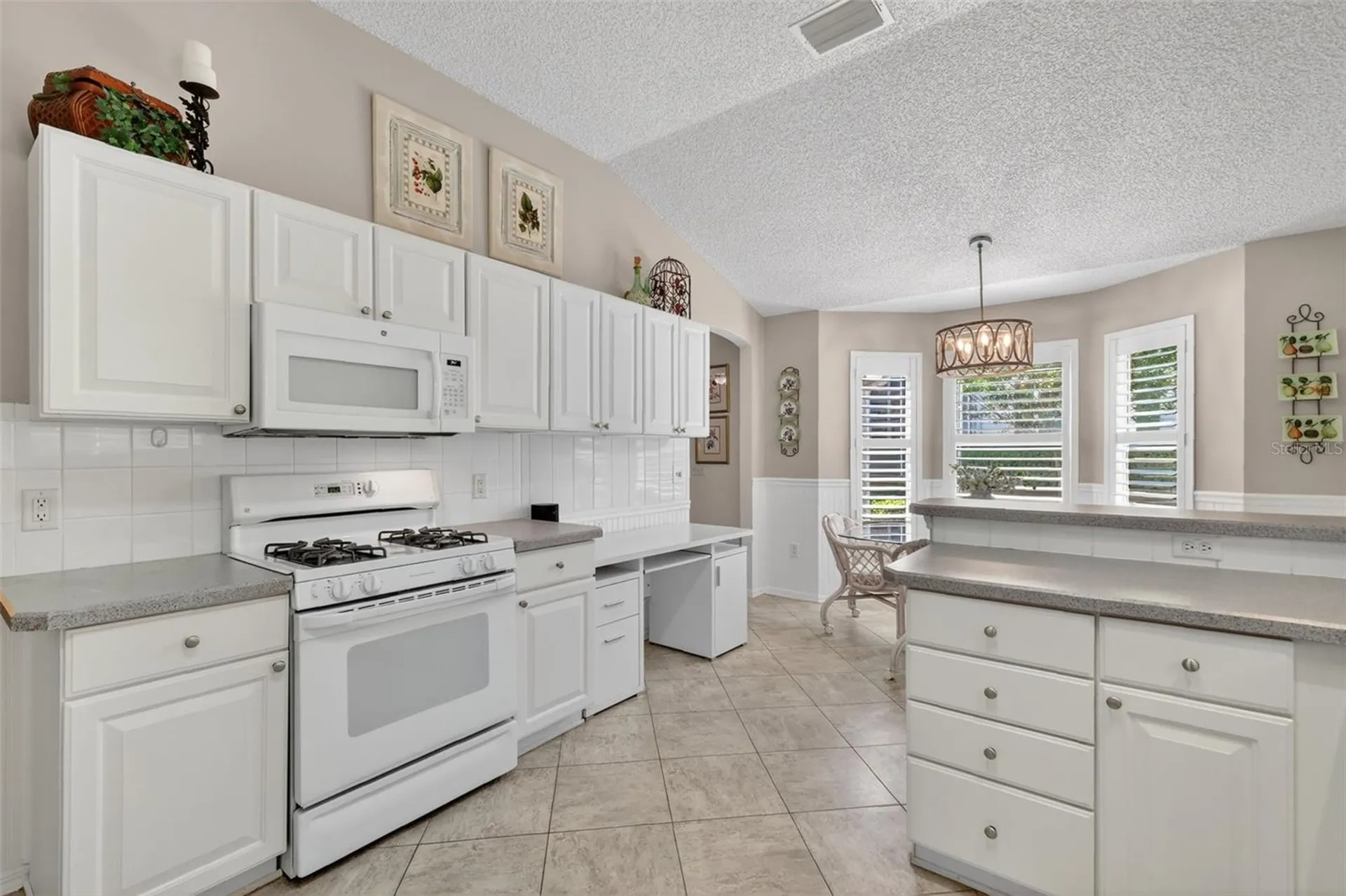 1428 Carrillo Street The Villages FL 32162