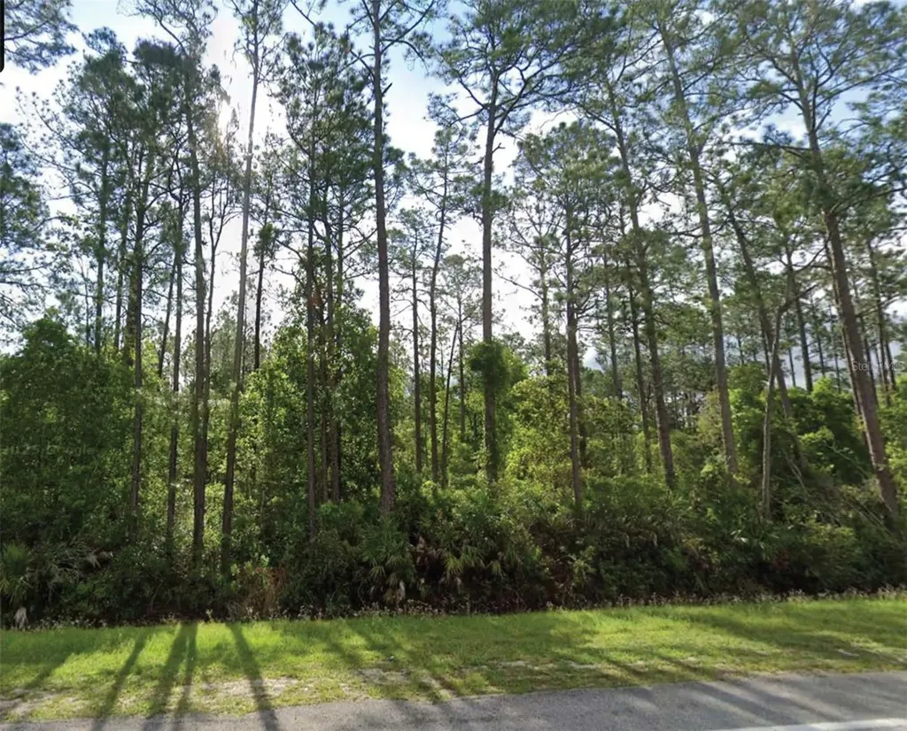 1501 S State Road 19 Palatka FL 32177
