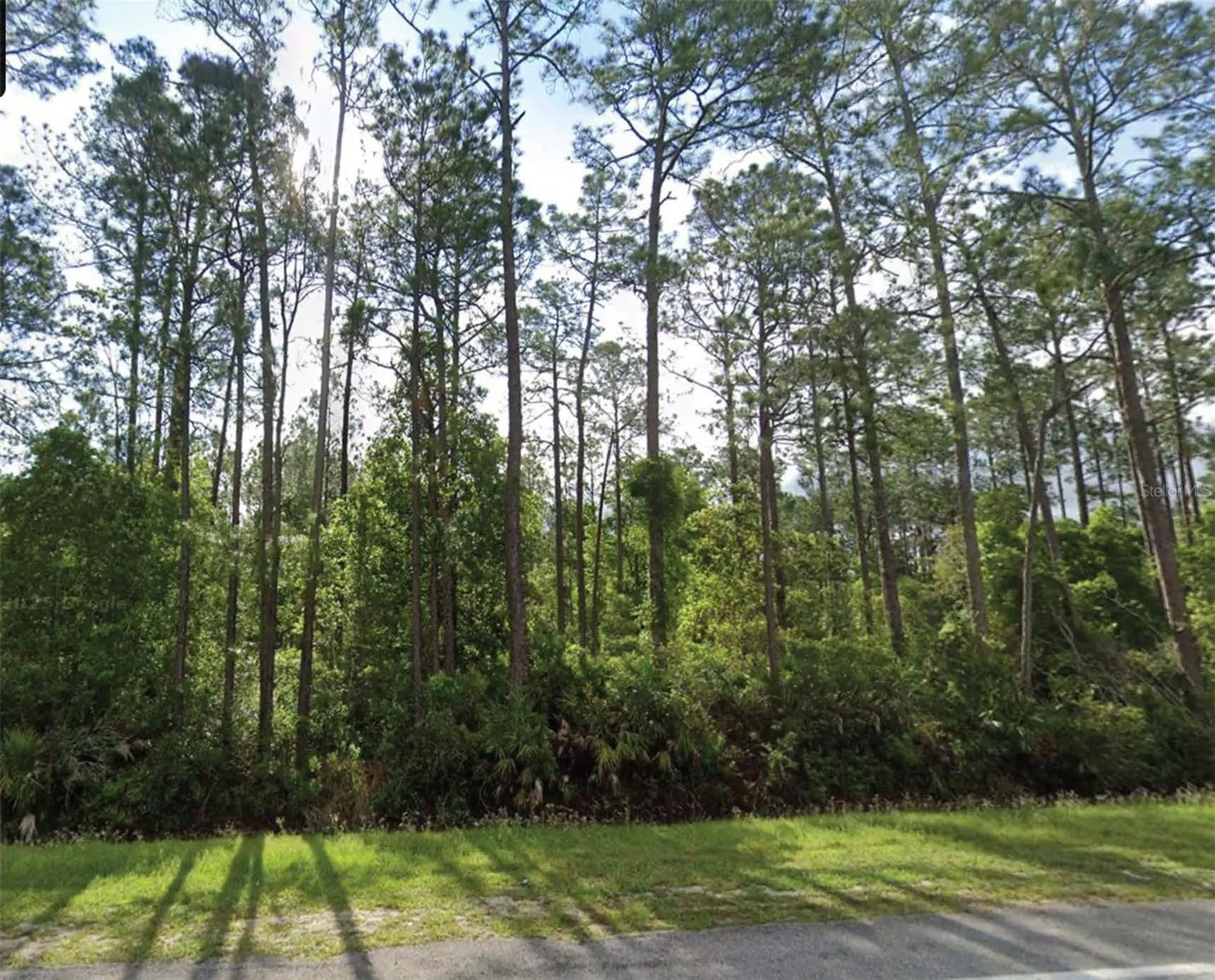 1501 S State Road 19 Palatka FL 32177