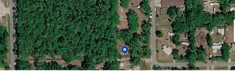792 St Catherine Avenue Christmas FL 32709