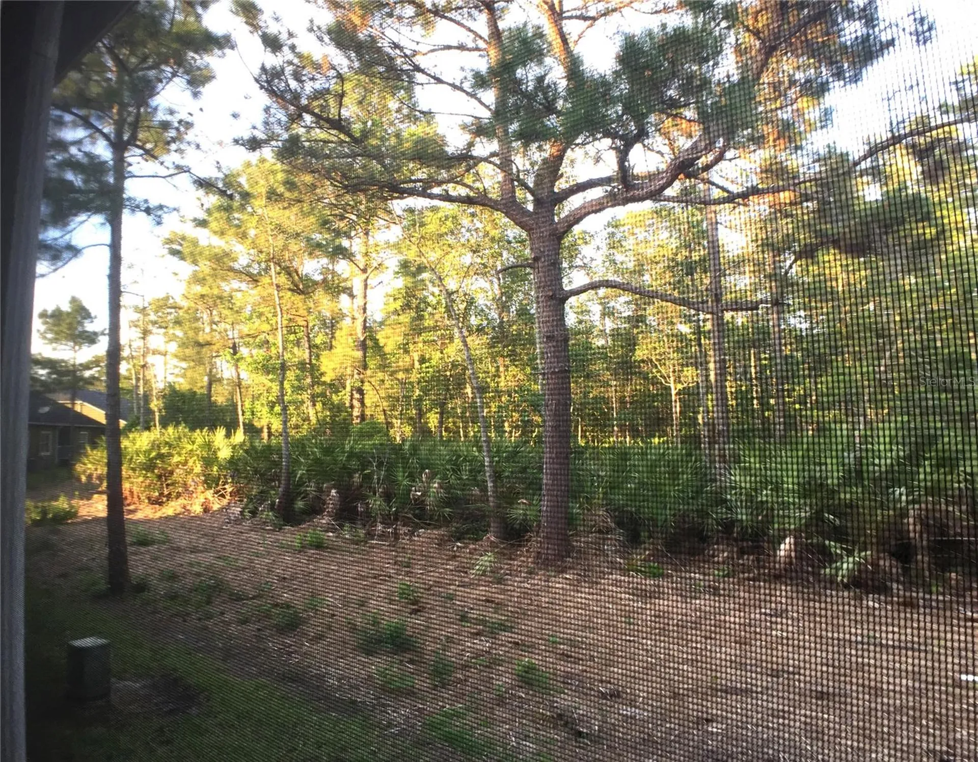 453 Evening Sky Drive Oviedo FL 32765