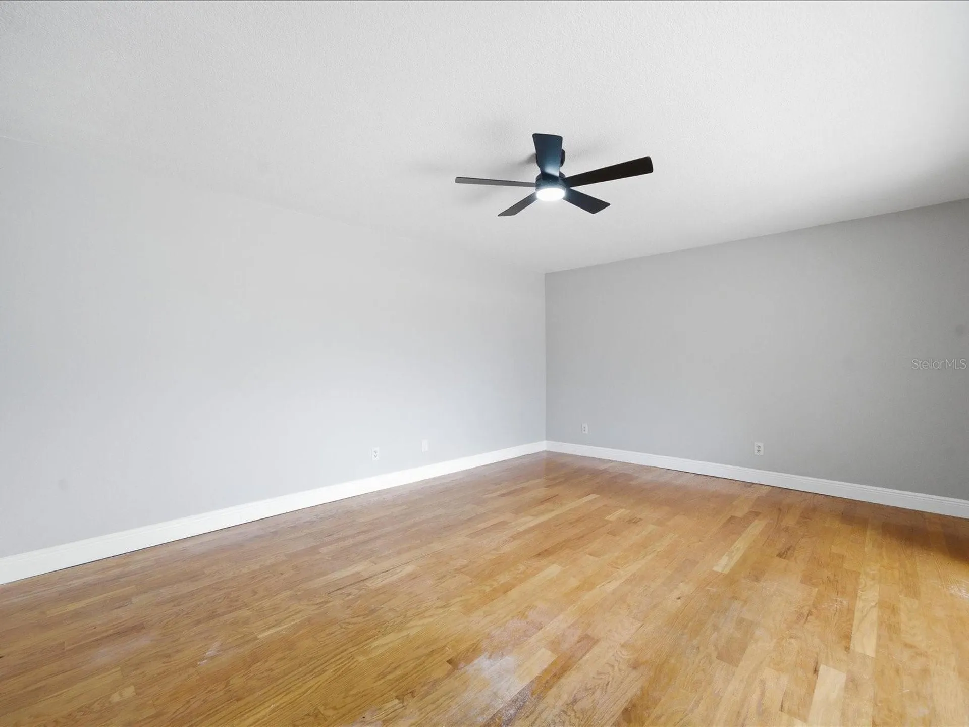 15338 E Pond Woods Drive Tampa FL 33618