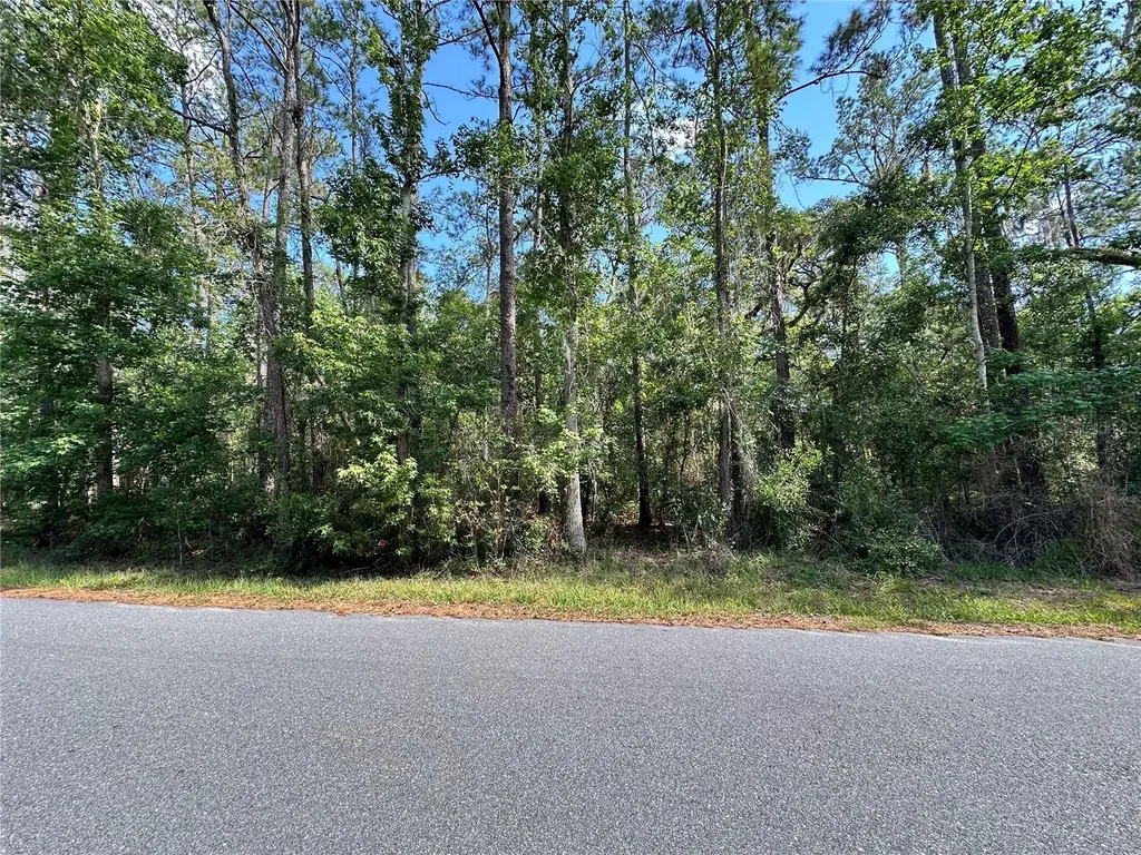 Skyview Circle Brooksville FL 34602