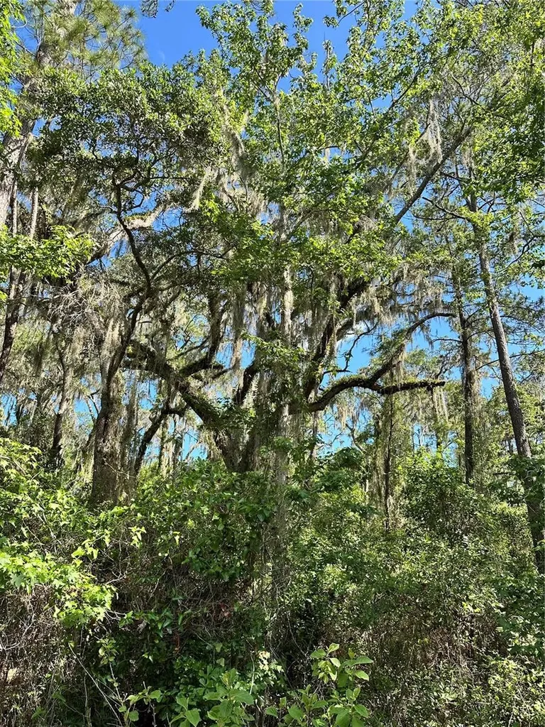 Skyview Circle Brooksville FL 34602