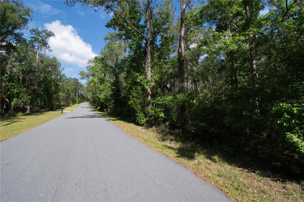 Skyview Circle Brooksville FL 34602