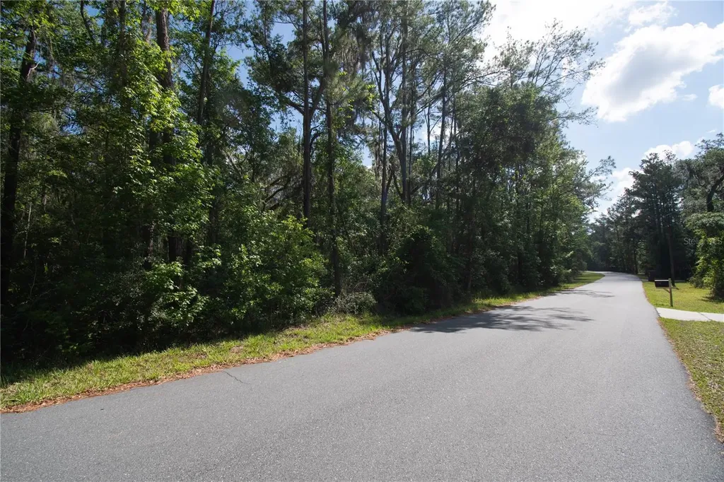 Skyview Circle Brooksville FL 34602