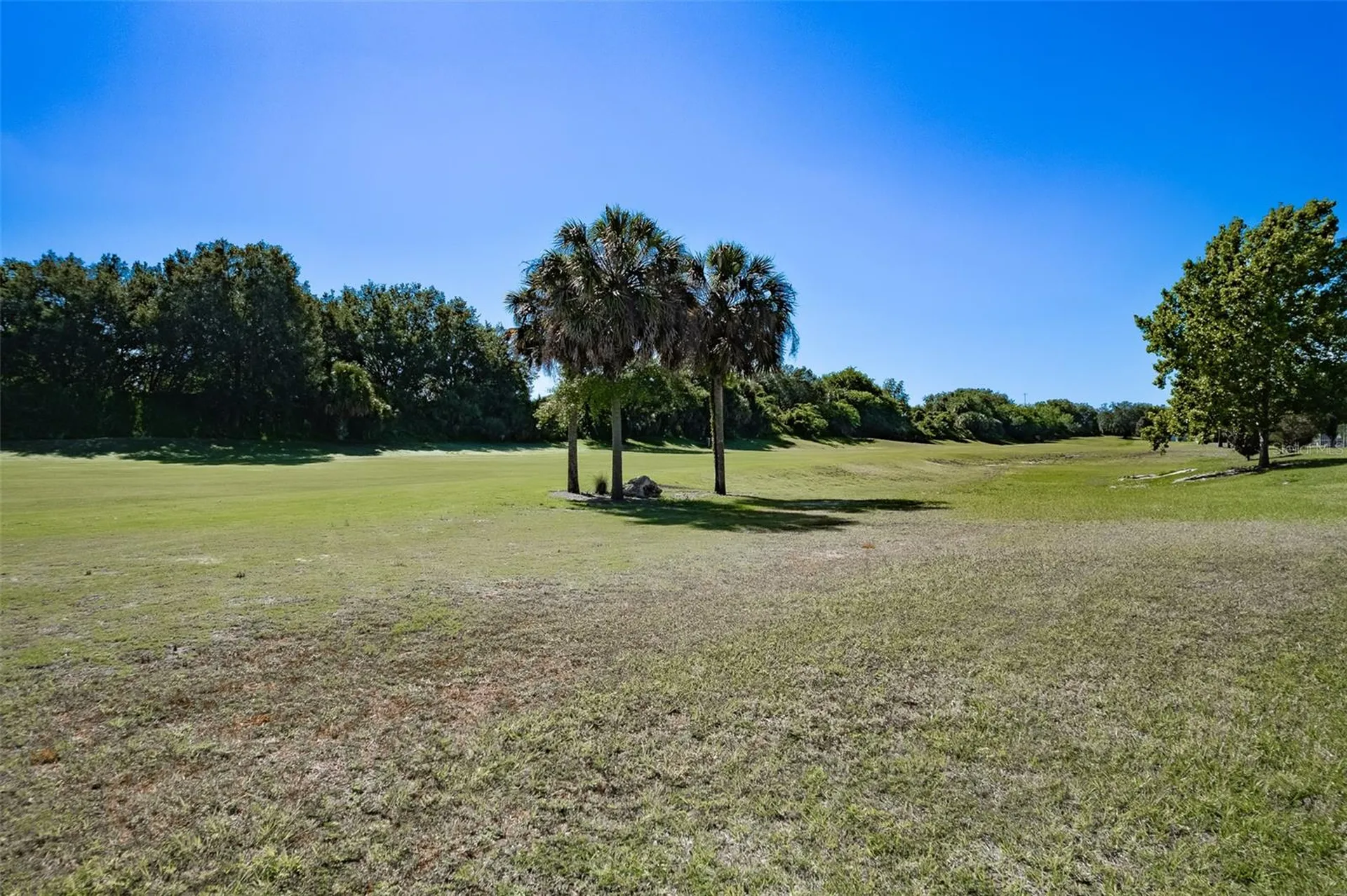 15143 SW 14th Avenue Road Ocala FL 34473
