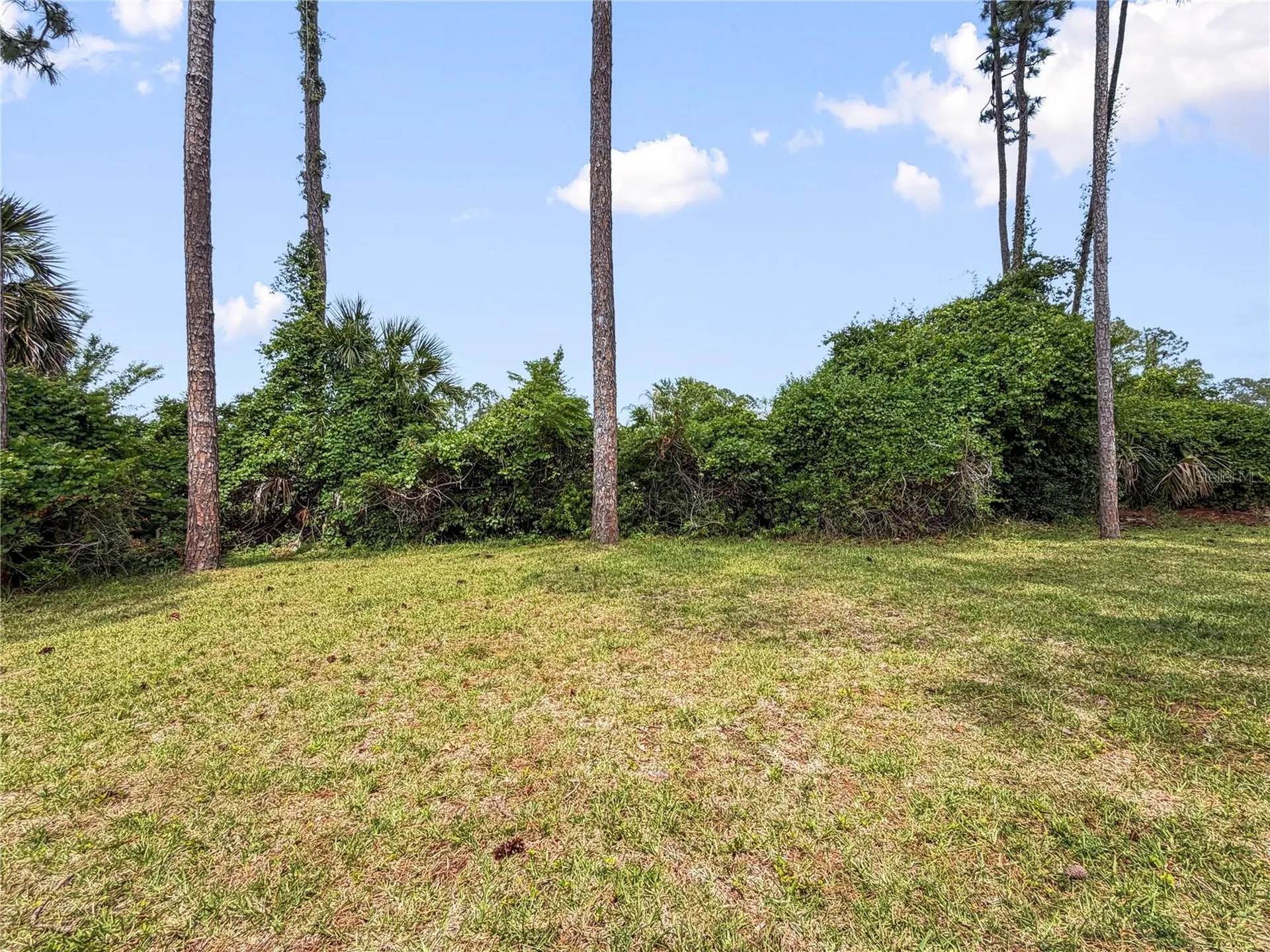 Palm Coast FL 32137