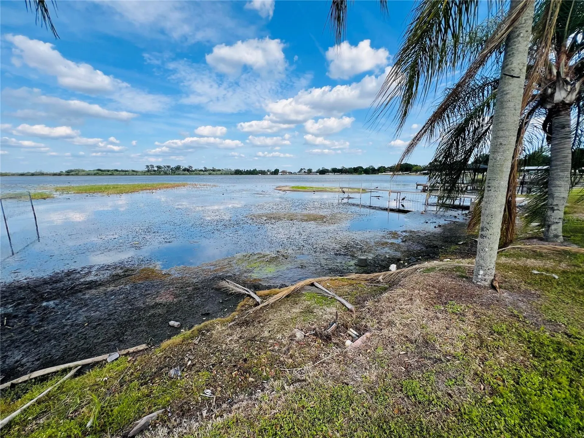 908 Lake Jessie Drive Winter Haven FL 33881