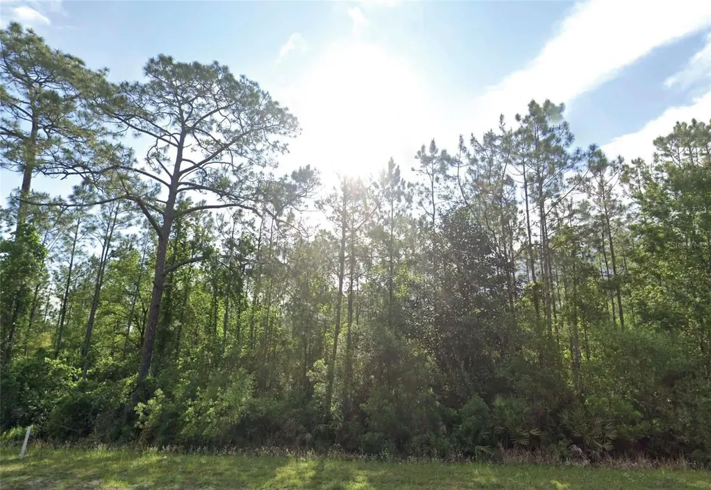 125 Madeira Street Palatka FL 32177