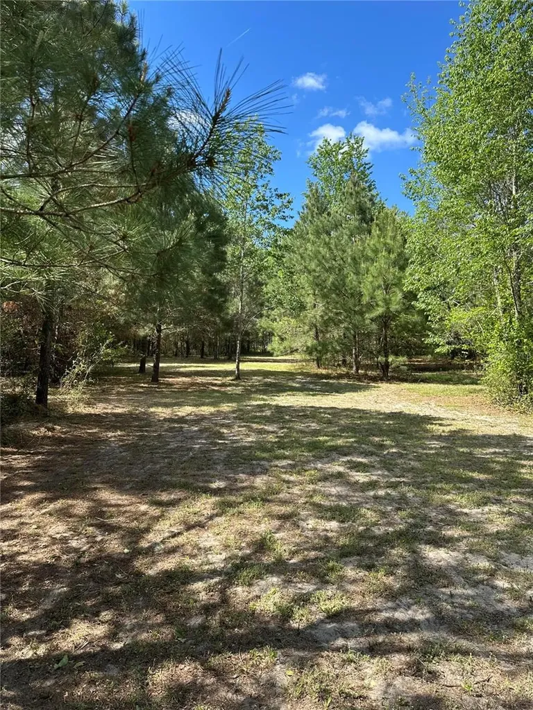 1449 SE October Road Lake City FL 32025