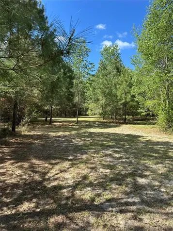 1449 SE October Road Lake City FL 32025