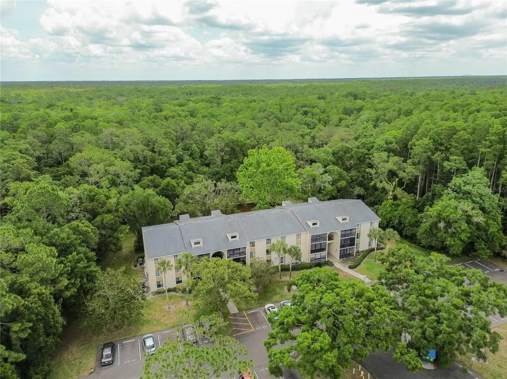 3232 Lake Pine Way E Tarpon Springs FL 34688