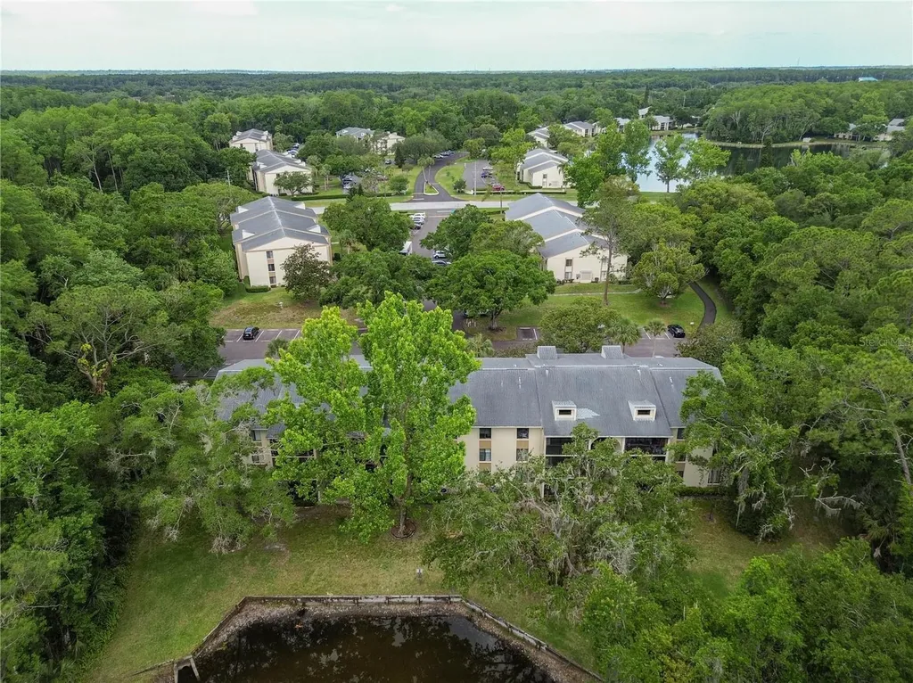 3232 Lake Pine Way E Tarpon Springs FL 34688