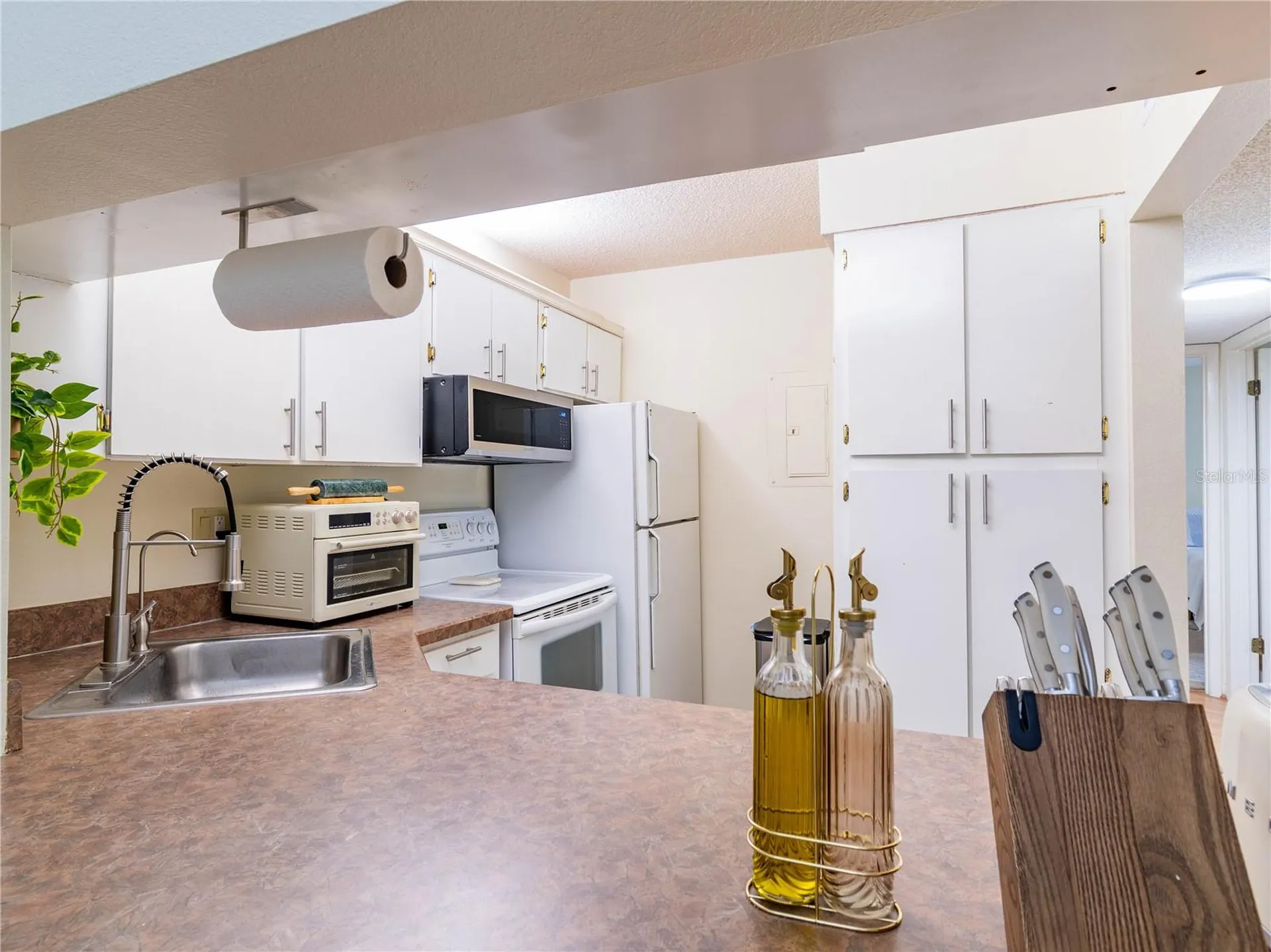 3232 Lake Pine Way E Tarpon Springs FL 34688