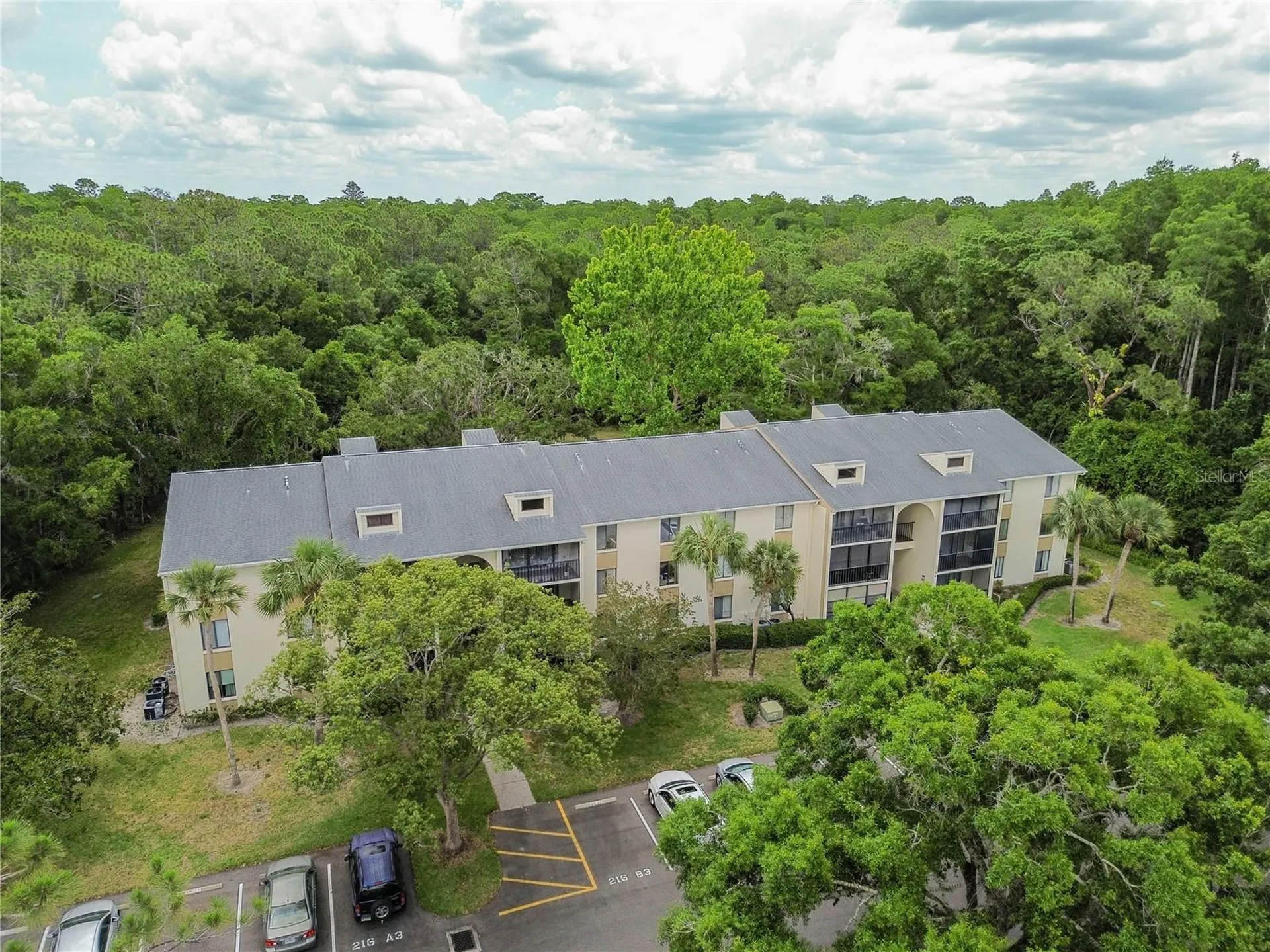 3232 Lake Pine Way E Tarpon Springs FL 34688