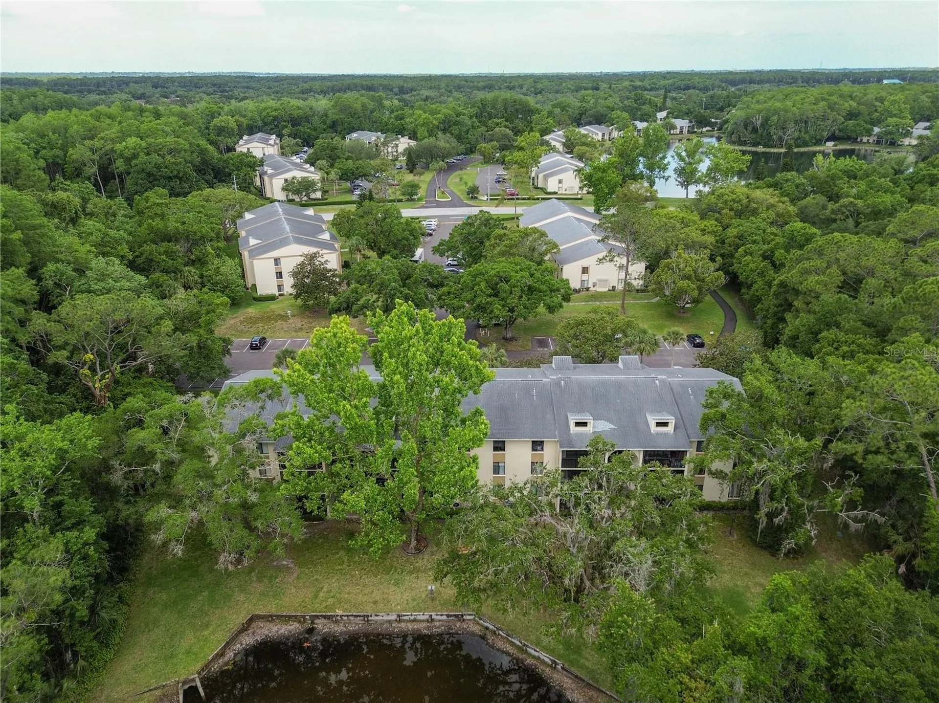 3232 Lake Pine Way E Tarpon Springs FL 34688