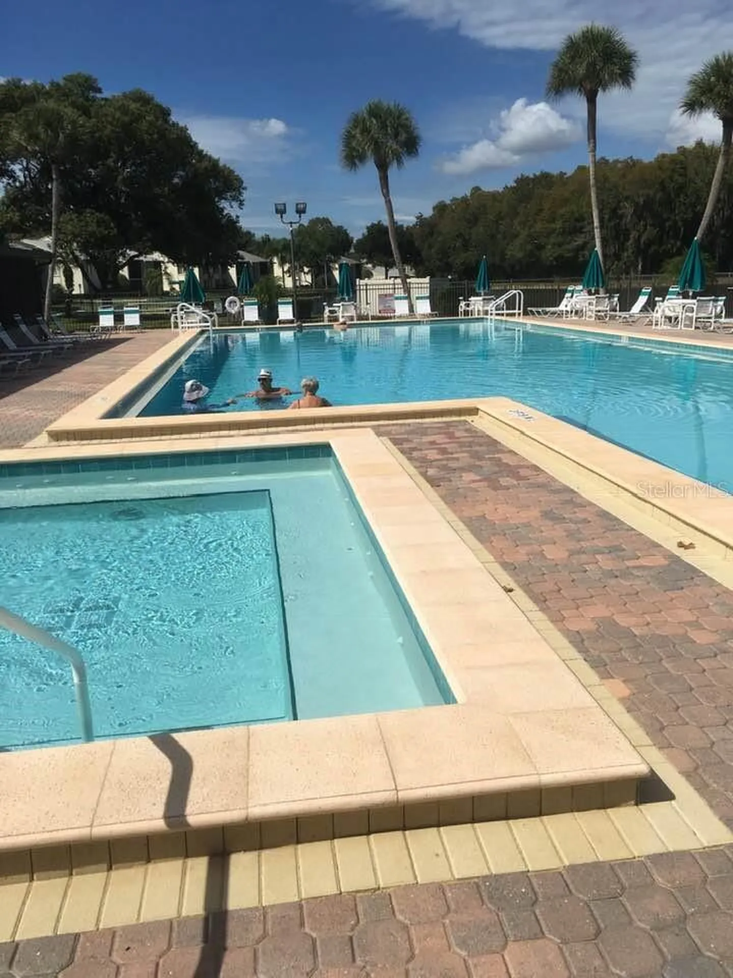 3232 Lake Pine Way E Tarpon Springs FL 34688