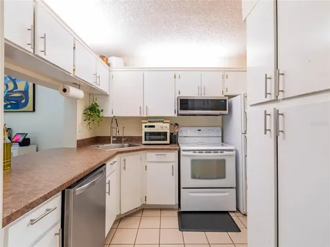 3232 Lake Pine Way E Tarpon Springs FL 34688