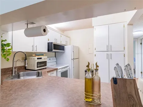 3232 Lake Pine Way E Tarpon Springs FL 34688