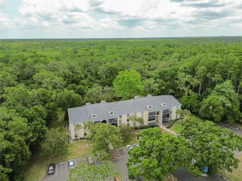 3232 Lake Pine Way E Tarpon Springs FL 34688