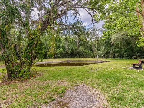 3232 Lake Pine Way E Tarpon Springs FL 34688