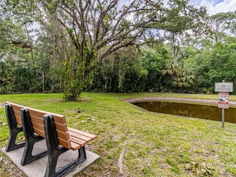 3232 Lake Pine Way E Tarpon Springs FL 34688