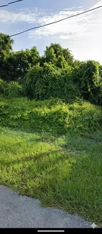 1371 Abagail Drive Deltona FL 32725
